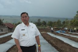 Pemkab Dairi siapkan  pencanangan kawasan pertanian terpadu