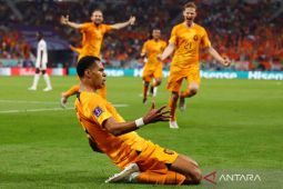 Liverpool resmi datangkan penyerang Timnas Belanda Cody Gakpo