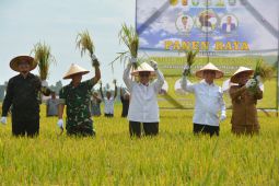 Kata Wamentan , semangat petani Abdya dapat dicontoh