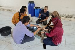 Dosen Unej manfaatkan kulit singkong sebagai pakan ternak