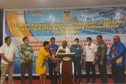 DKP Papua sinkronkan program bersama tiga provinsi baru