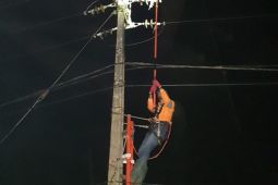 PLN berhasil pulihkan 100% kelistrikan terdampak gempa Cianjur, 326 ribu pelanggan kembali menyala