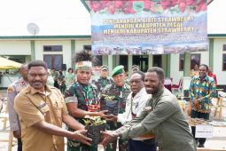 Kodam Kasuari canangkan penanaman stroberi di Pegaf