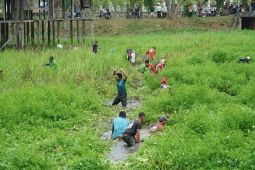 Lomba Bekarang Besamo dalam meriahkan HUT Batanghari