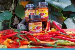 Siswa SLBN Surade Sukabumi ciptakan produk sambal botolan "Sambo"