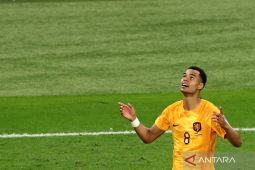 Belanda imbang 1-1 versus Ekuador