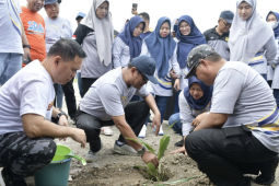 Dinas PUPR Provinsi Gorontalo tanam 150 pohon tabebuya di GORR