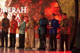 Air terjun di Aceh Timur raih peringkat kedua API Award 2022