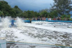 Bangka Tengah gencarkan pelaksanaan program Gemarikan