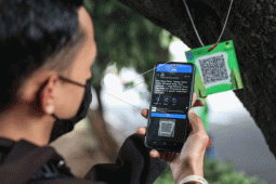 Pohon di Depok dipasang "QR code"