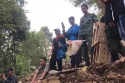 BKSDA Maluku lepasliarkan 20 satwa di Gunung Sahuwai