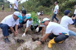 PLN Babel tanam 1.600 pohon di kawasan Bukit Mangkol