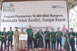 PLN UID Kalbar kembali tanam 10 ribu pohon mangrove