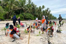 Serap Emisi 5,5 Juta ton CO2, PLN Tanam Lebih dari 1,47 Juta Pohon