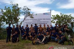 MAPALBARA tanam 1302 pohon di bumi perkemahan Cikujang Pandeglang
