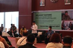 Wapres: Perubahan Otsus Papua sesuatu yang wajar