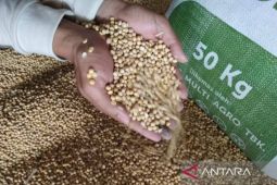 Kemarin, ekspansi manufaktur dan stok kedelai menipis