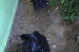 Bayi laki-laki berbungkus kantong kresek gemparkan warga Kembayan Sanggau