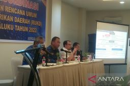 Dinas ESDM Maluku siapkan dokumen RUKD 2022 untuk kebutuhan tenaga listrik