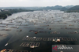 Pemkab Purwakarta dan Satgas Citarum Harum tertibkan keramba di Waduk Jatiluhur
