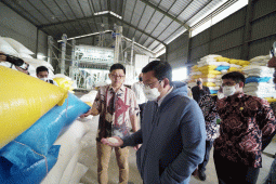 Pemerintah gelontorkan beras ke pasar untuk stabilkan harga jelang Natal