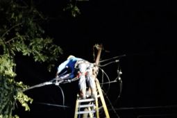 PLN pulihkan kelistrikan Ambon di lokasi terdampak gangguan, begini penjelasannya