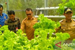 Pemkab Bangka dorong masyarakat manfaatkan pekarangan rumah