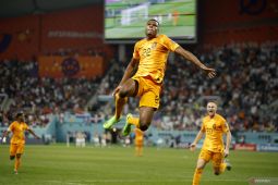 Piala Dunia: Kekompakan kunci kesuksesan Belanda lawan Argentina, kata Van Dijk