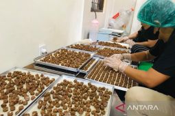 Komunitas di Bali dukung pariwisata berkelanjutan