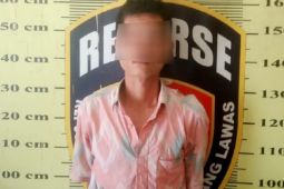 Cabuli dua putri kandungnya, pria bejat ini diamankan Polres Palas