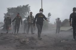 Bupati Lumajang tinjau lokasi terdampak APG Semeru