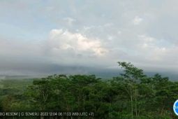 BPBD: Aktivitas erupsi/APG Gunung Semeru masih tinggi