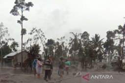 Erupsi Semeru, BPBD Jatim fasilitasi 2.219 warga di pengungsian