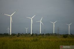 Menapaki upaya pengembangan EBT