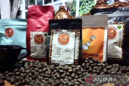 Kopi Sipirok Tapsel  binaan PLN tembus pasar global