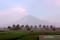 Gunung Semeru masih meluncurkan awan panas guguran