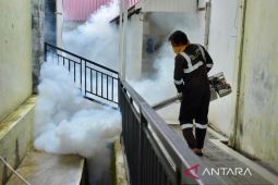 Dinkes gencar lakukan fogging cegah kasus DBD di Sabang