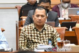 Kemenkumham tangkis kekhawatiran Dubes AS soal perzinahan di RKUHP