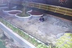 Edi Kamtono minta polisi tindak tegas pencuri kabel waterfront