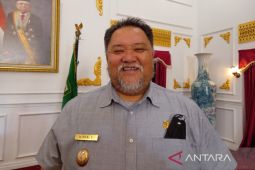Wabup : Pencegahan stunting dengan mengubah pola pikir warga