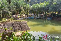 Bupati Bangka mengapresiasi pemanfaatan hutan kemasyarakatan