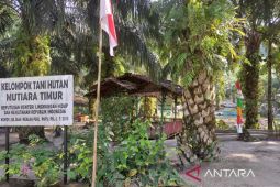 Bupati Bangka ajak masyarakat melestarikan kawasan hutan