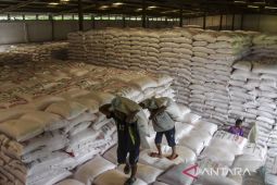 Stok pupuk subsidi melimpah