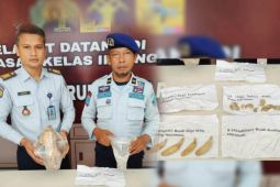 Kemenkumham Riau terima titipan tulang belulang Harimau Sumatera