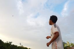 Gangguan listrik di Kalbar 50 persennya karena layang - layang