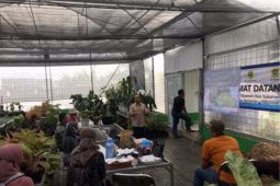 UI latih budi daya alpukat mentega kepada petani di Bogor