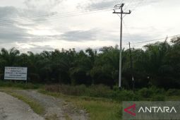 Disperindag Papua Barat rencanakan subsidi distribusi minyak goreng