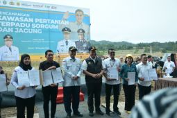 Wamen Pertanian canangkan kawasan pertanian terpadu di Kabupaten Dairi