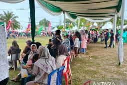 Masyarakat Batang Hari ikut meriahkan arakan budaya