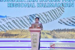 Sekdaprov Kalsel: Subsidi transportasi upaya tekan inflasi pangan